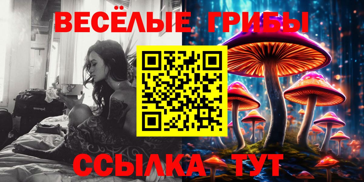 Фрязино  Галлюциногенные грибы Cubensis  Вход с VPN 